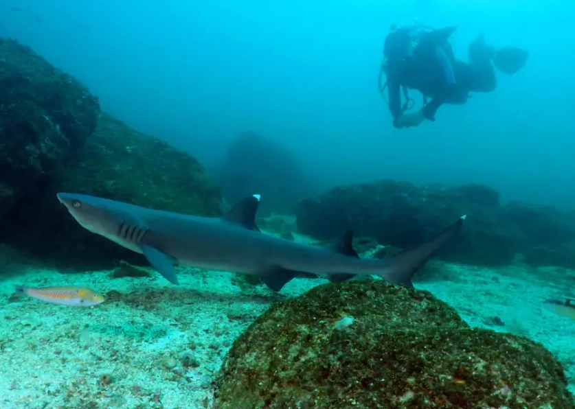 best diving destinations September