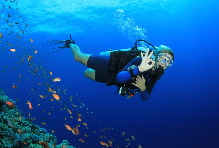 Anilao diving Anilao diving