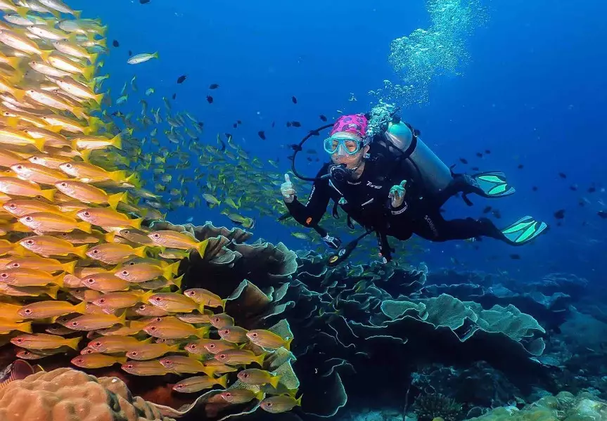 scuba diving Philippines