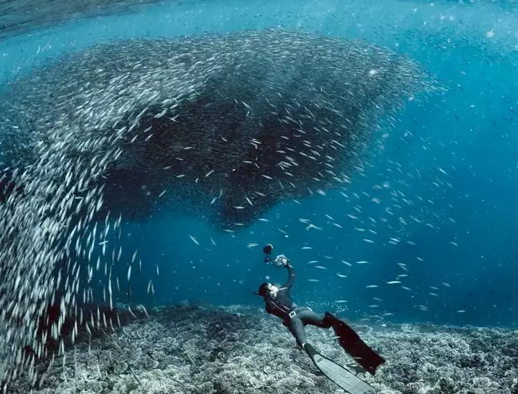 Philippines diving capital Philippines diving capital