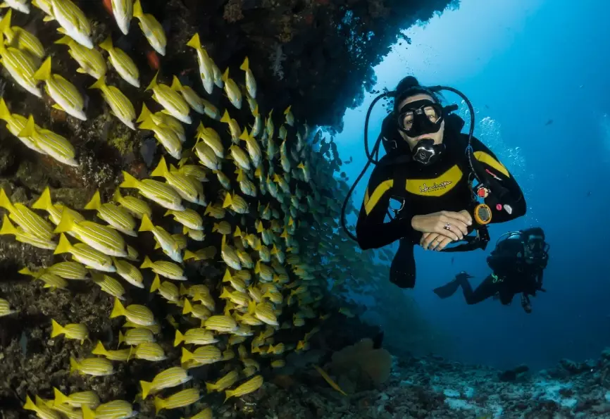 best Maldives dive sites