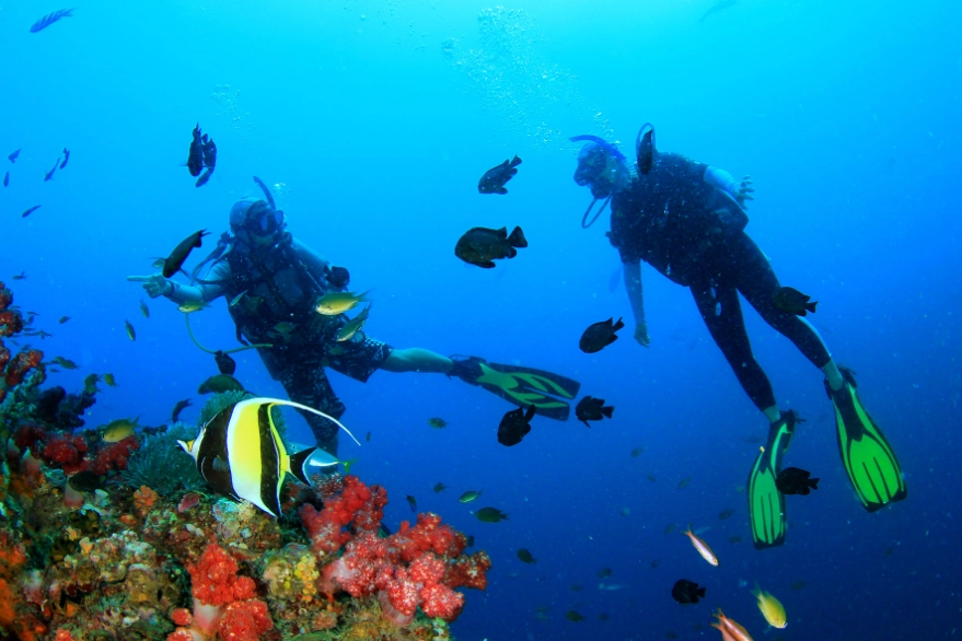 dive capital of the Philippines dive capital of the Philippines