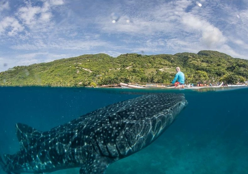 Philippines dive sites
