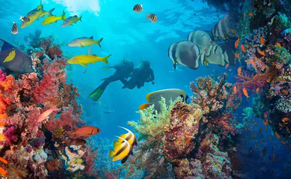 December scuba diving tips