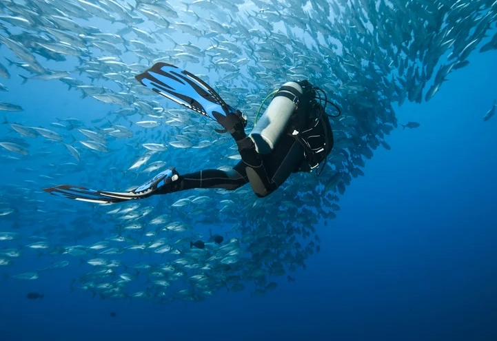 Philippines diving spots