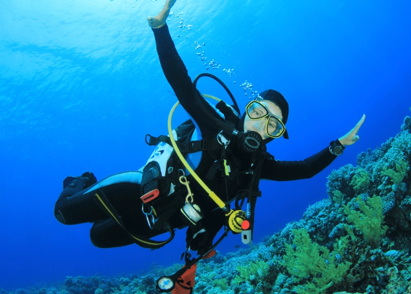 best scuba diving in Florida best scuba diving in Florida