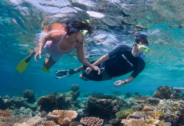 Maldives diving in December