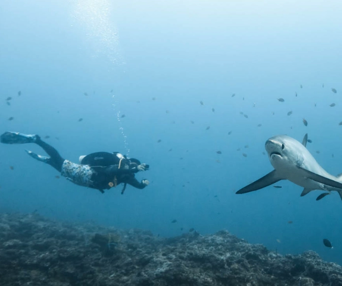 best dive sites Philippines best dive sites Philippines