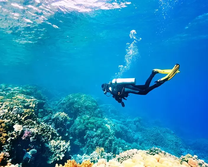 november diving conditions