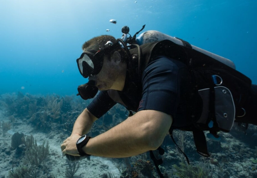 best diving november