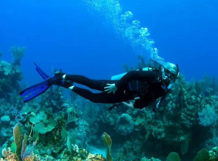 Caribbean diving destinations