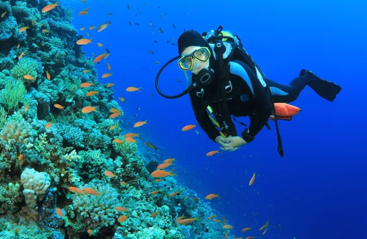 beginner dive sites caribbean