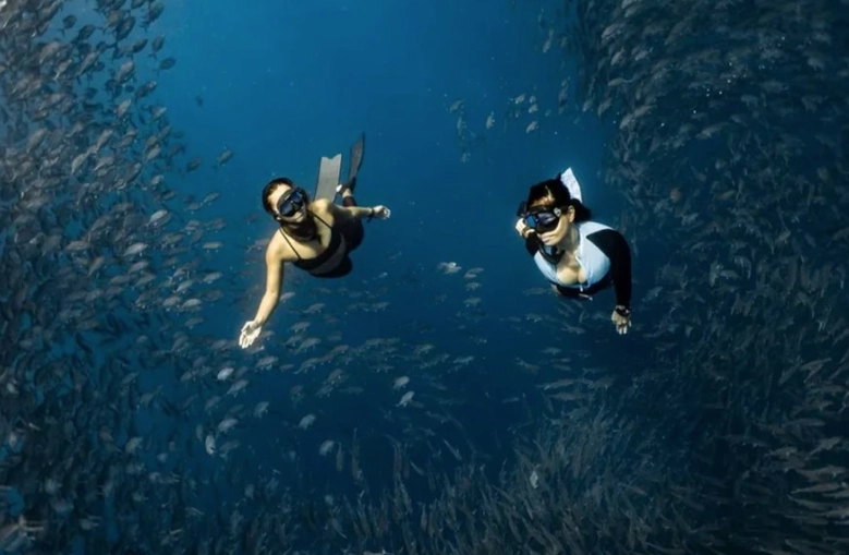 top scuba diving Philippines top scuba diving Philippines