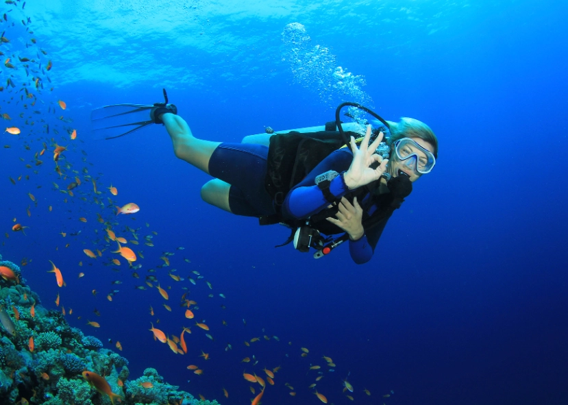 best dive sites Philippines best dive sites Philippines