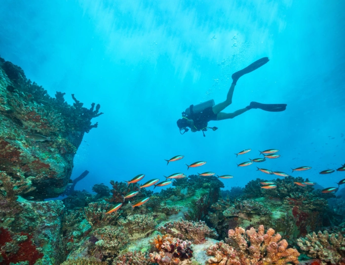 Caribbean scuba diving destinations