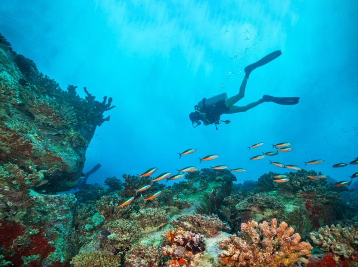caribbean diving november