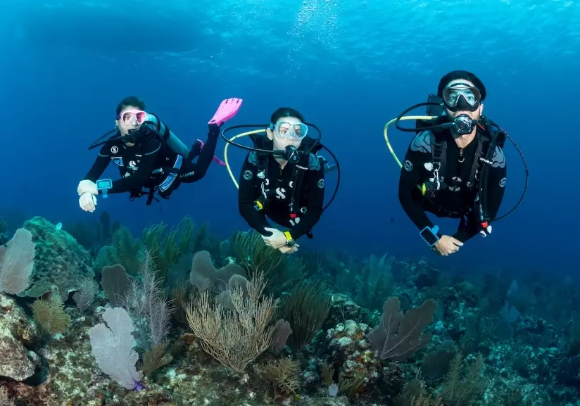 top scuba diving destinations