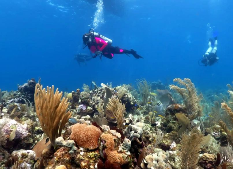 budget dive destinations