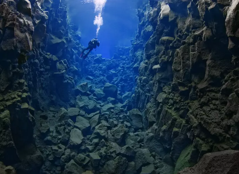 scuba diving in november