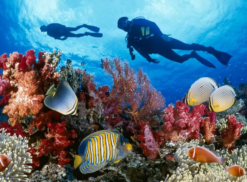 how to choose a dive destination