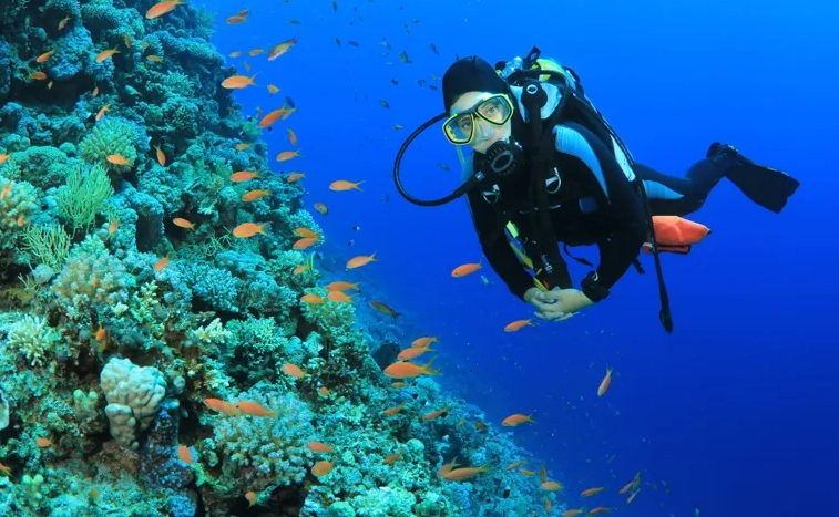 best diving in the caribbean