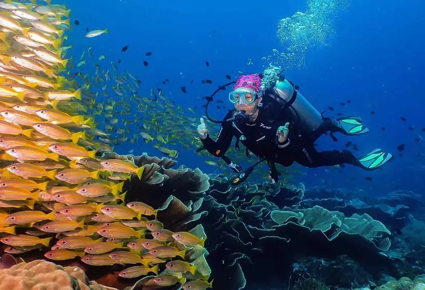 best time to dive in Palawan best time to dive in Palawan