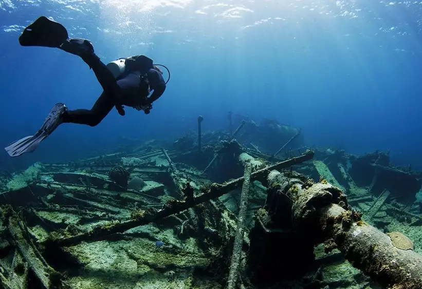 Which caribbean island has the best diving in the world