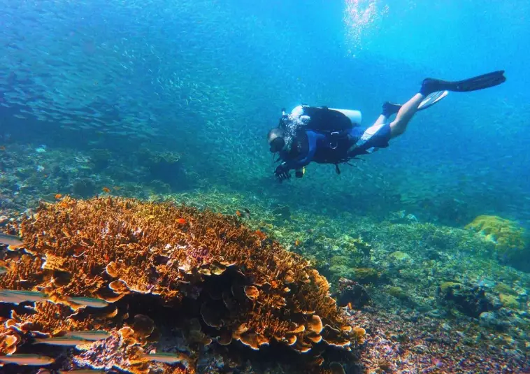 Top 5 diving spots in the philippines for beginners