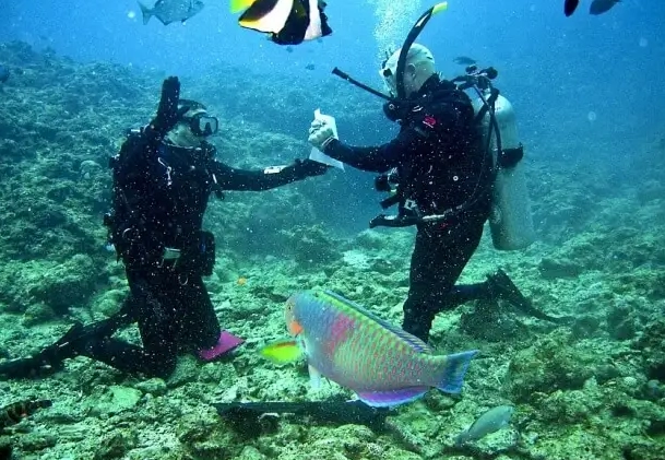 beginner diving Philippines beginner diving Philippines