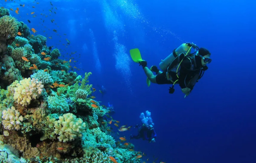 Palawan diving season Palawan diving season