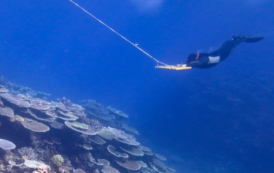 Palawan liveaboard season Palawan liveaboard season