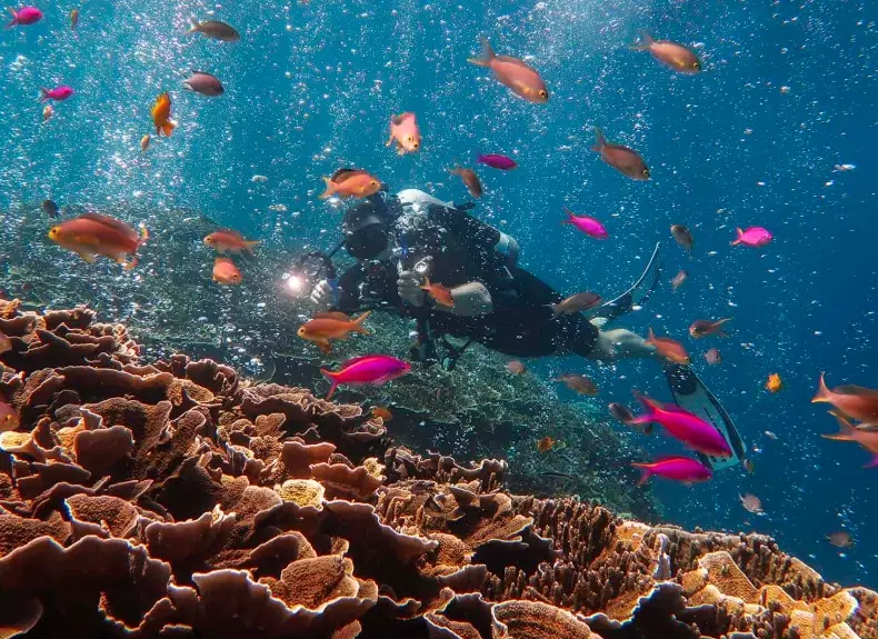 beginner diving Philippines beginner diving Philippines