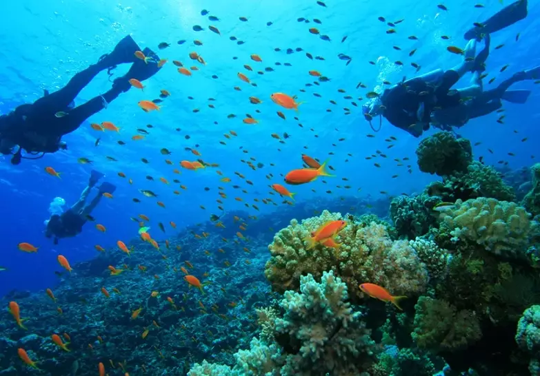 Palawan liveaboard season Palawan liveaboard season