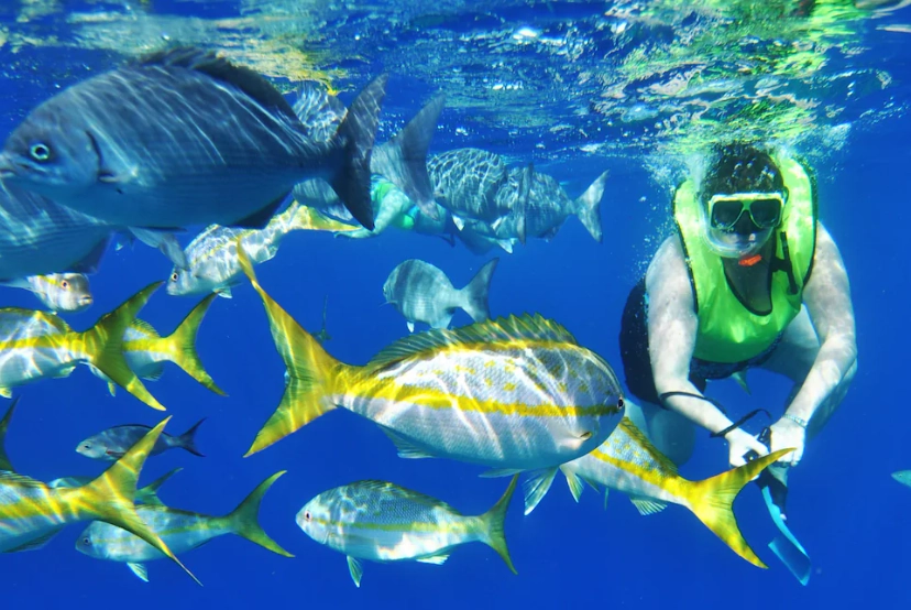 Caribbean scuba diving