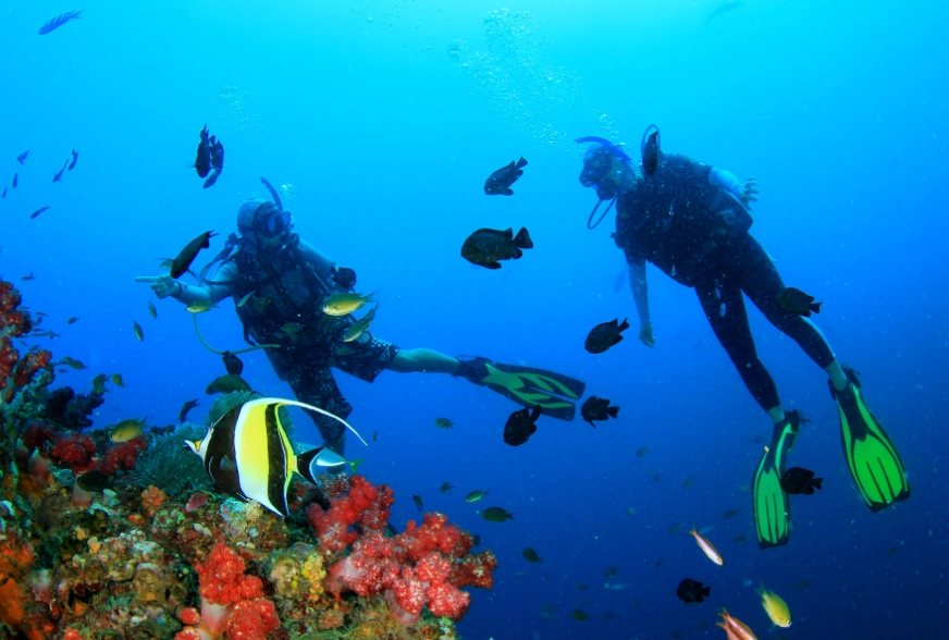 Puerto Galera diving Puerto Galera diving