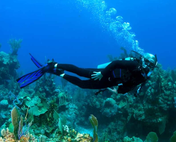 Where is the best place to dive in the Caribbean in November?