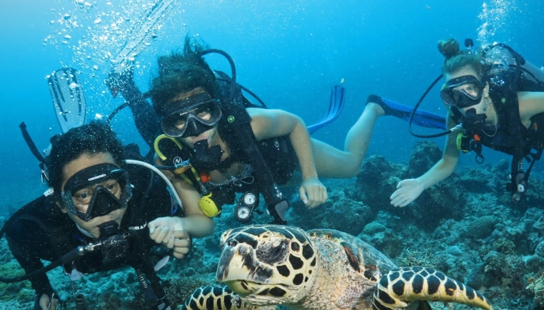 best Philippines dive sites best Philippines dive sites