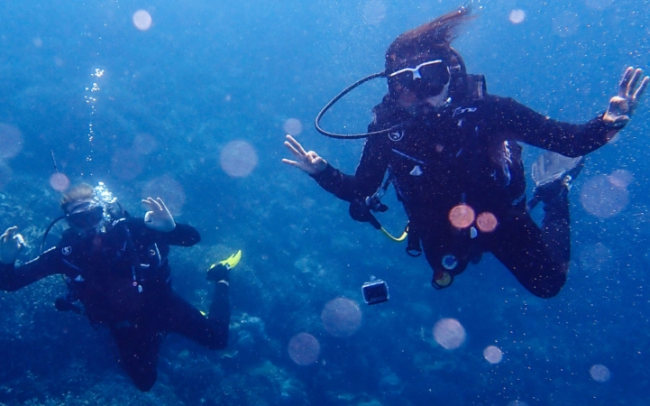 best time to dive in Palawan best time to dive in Palawan