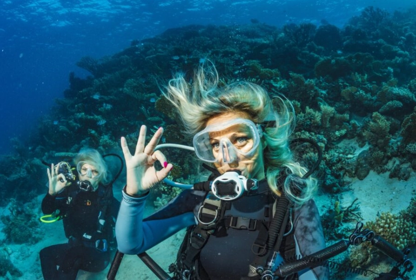 Where is the best scuba diving in December?