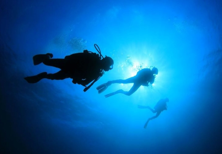 best places to dive in December best places to dive in December