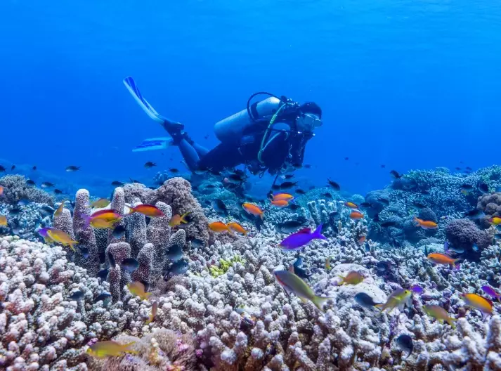 Philippines dive sites Philippines dive sites