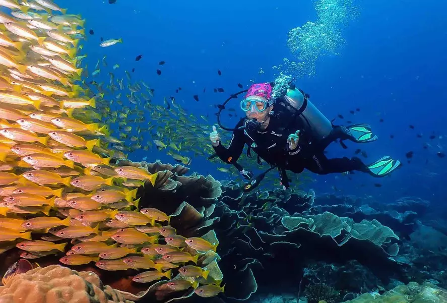 Palawan diving
