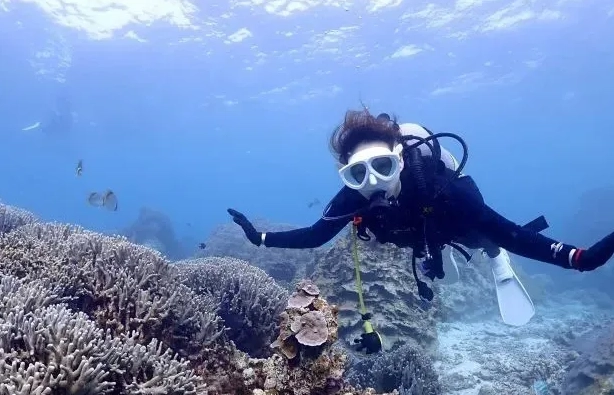 holiday season scuba diving