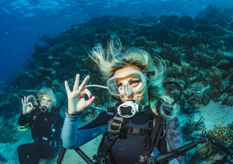 best diving December January