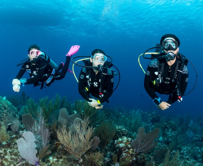 top diving sites for first-timers
