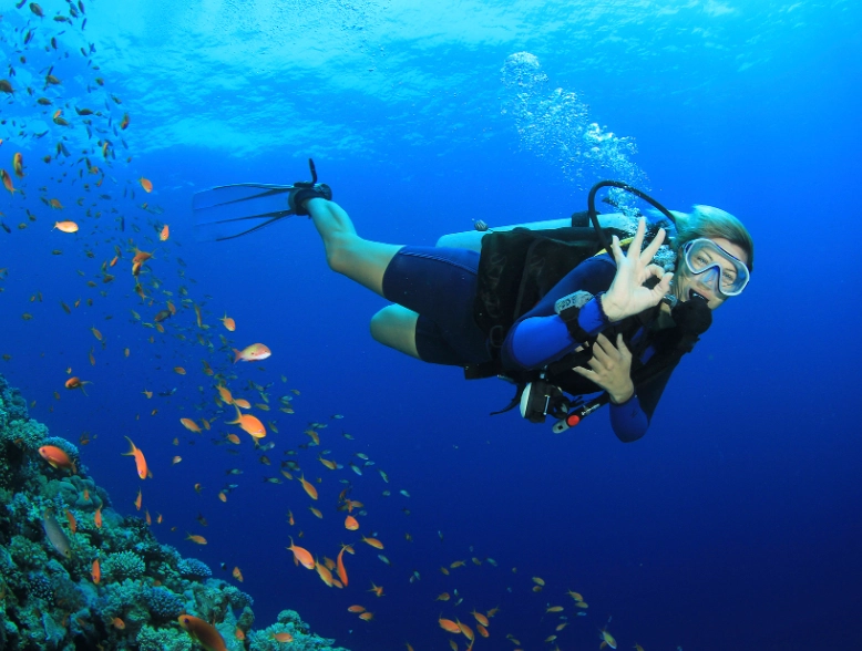 best months to dive Philippines best months to dive Philippines