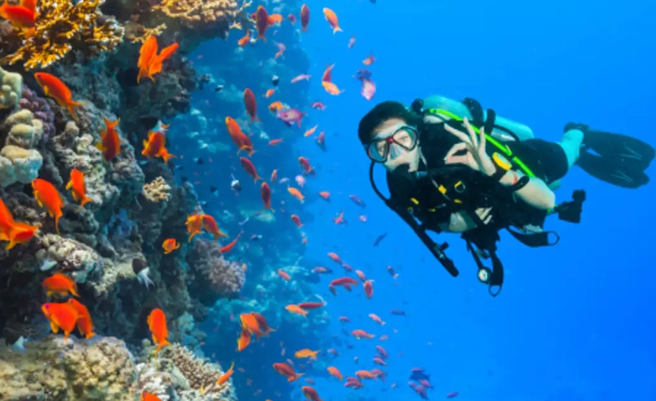 best time to scuba dive Philippines