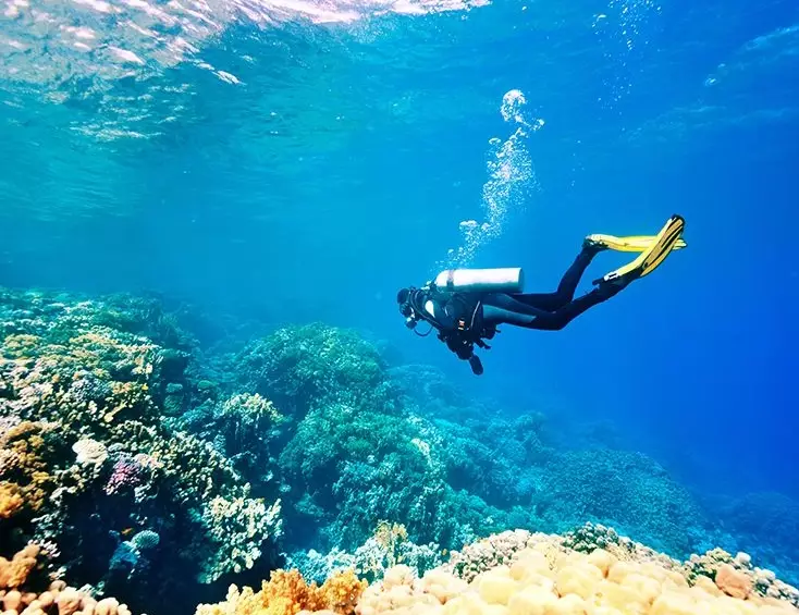 Caribbean diving October November