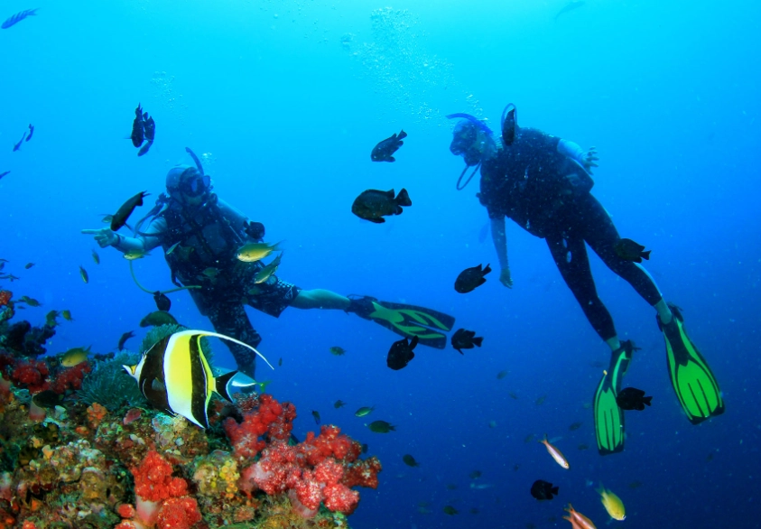 Best time to dive in Philippines
