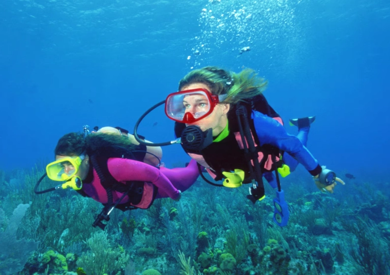 scuba diving in December scuba diving in December